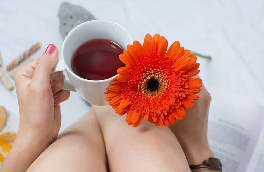 herbs that can increase a woman's libido and pleasure